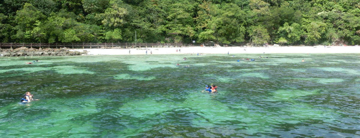 AcA[ɂœKI}[VAupvŊC𖞋iI