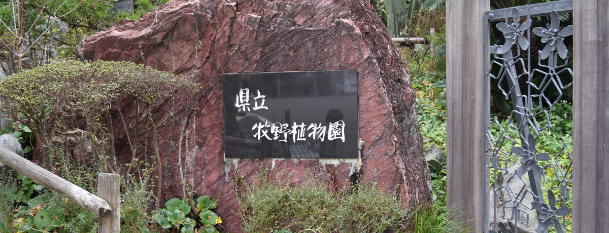 y䂩̑ԂɏoumqAvŎlGyI