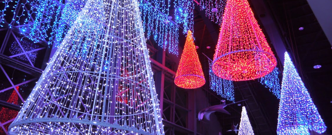 ���{���o��I�{���C�l�������̃A�N�A�C���~�i�[�W���Ō��z�I�Ȗ��