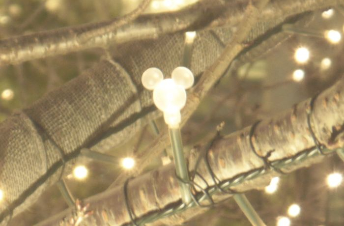 fBYj[̕ꂪ߂OtgIuB~bL[dv̌