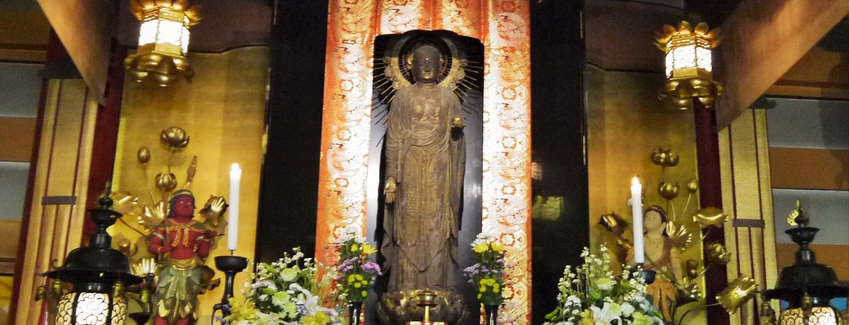 �{���Ɍ��Ă����́H�u���̓~�̗��v�Őp�����̖{���Ƌ����������J