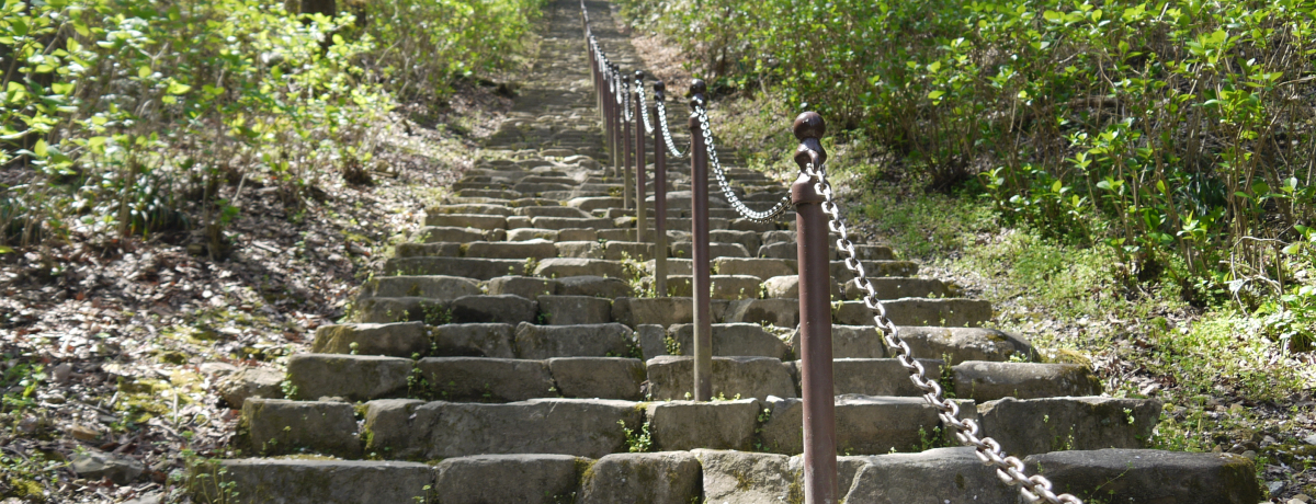 �܂�œV�Ɍ������Βi�I��Íc�q�̖�����R�̘[�œޗǂ̌Â�z��