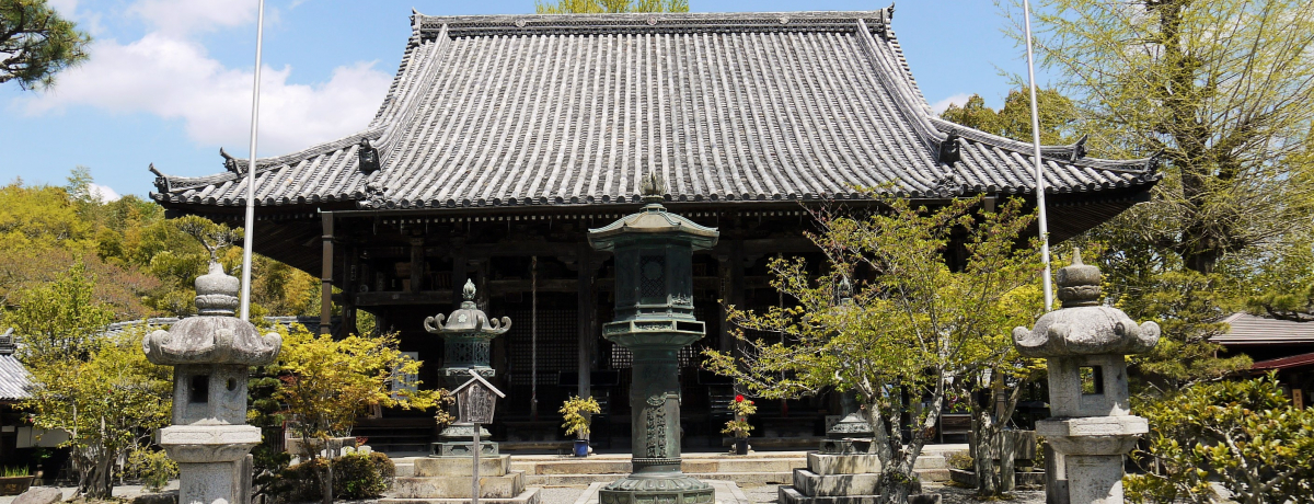 �z�c���߂����ĕ��łĕa�C�����̂����v���I���s�T���E������