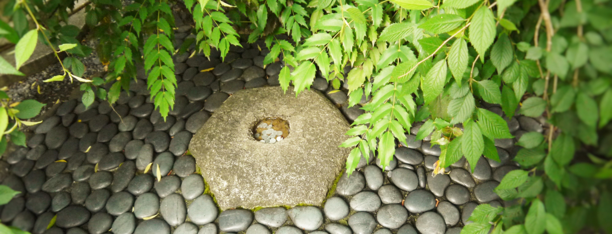 �����΂Ȕ��˒n�����s�̒��S�I�Z�p���͗����̃p���[�X�|�b�g