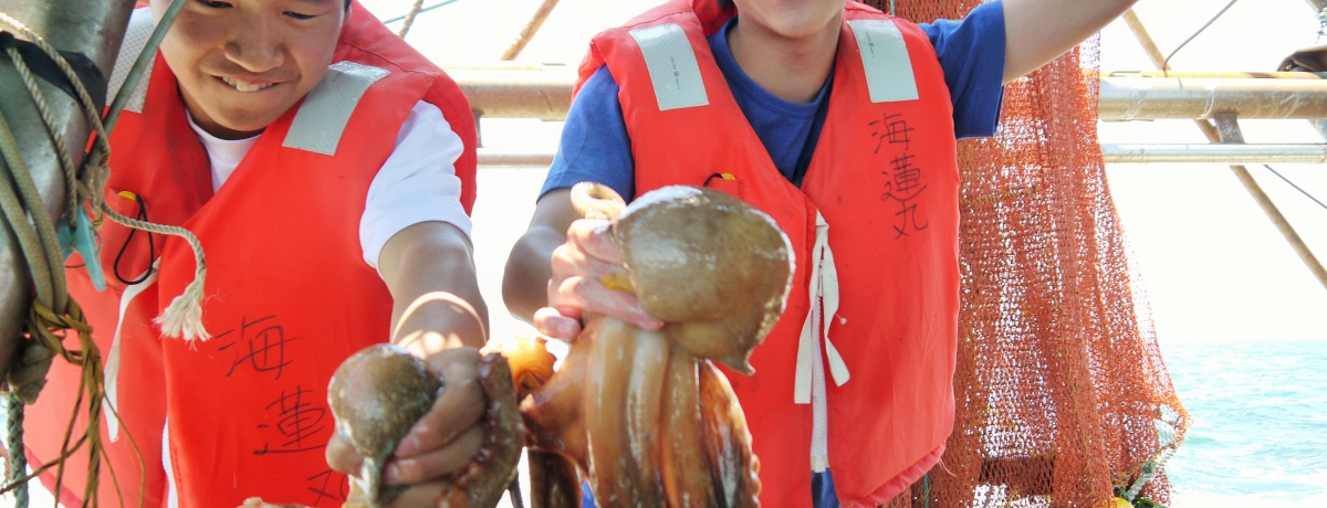 ���܂��I�߂ꂽ�Ă����D�ŐH�ׂ�^�R�������ΊC���N���[�W���O�c�A�[