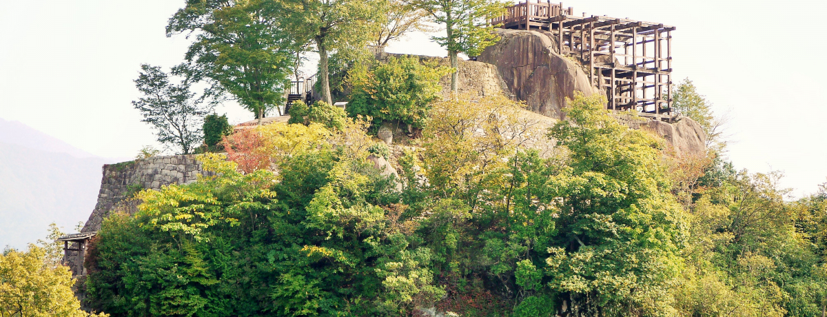 򕌒Ðuc؏Ձv͋ɒzꂽ`cV̏