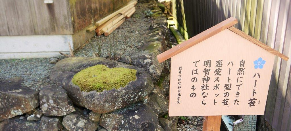 n[gۂ̗X|bg!?EqG䂩̒nŐlɔ