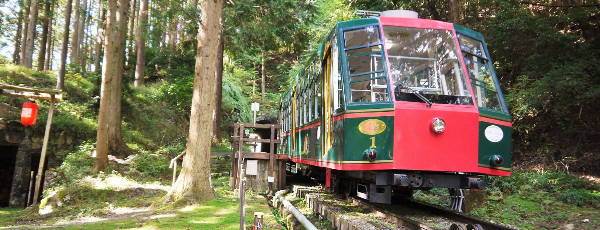 ��{�P�[�u���Ŕ�b�R����ցI�鋫�w�Ɏc���b�R�Ă��ł��̍���