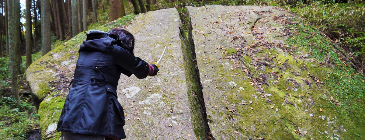 �ޗǌ��Łw�S�ł̐n�x���n����I�����꓁�΂Ŗ��V�[�����Č�