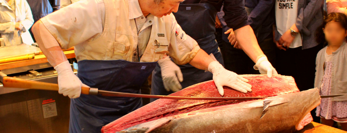 2̈ʊJŃn}̎s\悤Ilss{