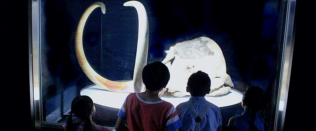 EJIu}XWvŗⓀ}Xɉ