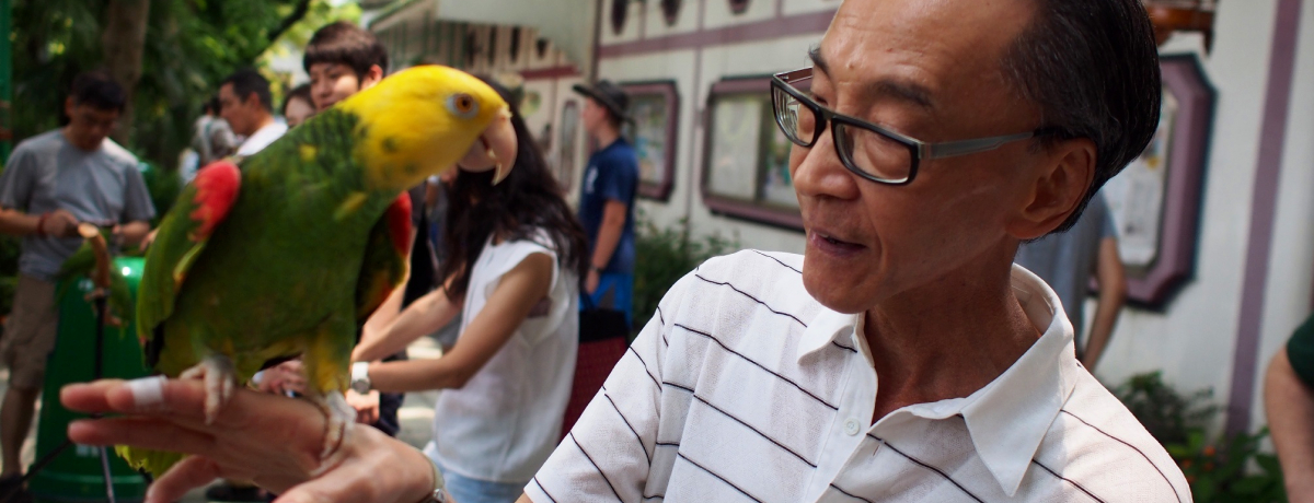 ��΂������߁I�u���I�ԁI�����I�v���`�̌��I�Ȏs��X���U��