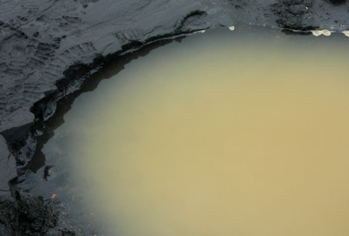 ��������Ɖ���Vol.8�`�L������ҁu�L���C�݁v�`