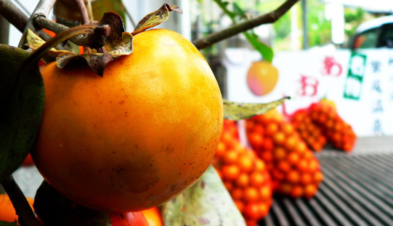 ܂ɐ_l̓I͂`肪₠肪uv