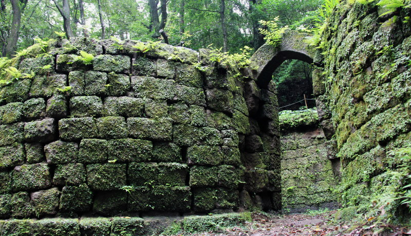 {̎YƊvYuWَƁvF̐EY𔼓ŏI