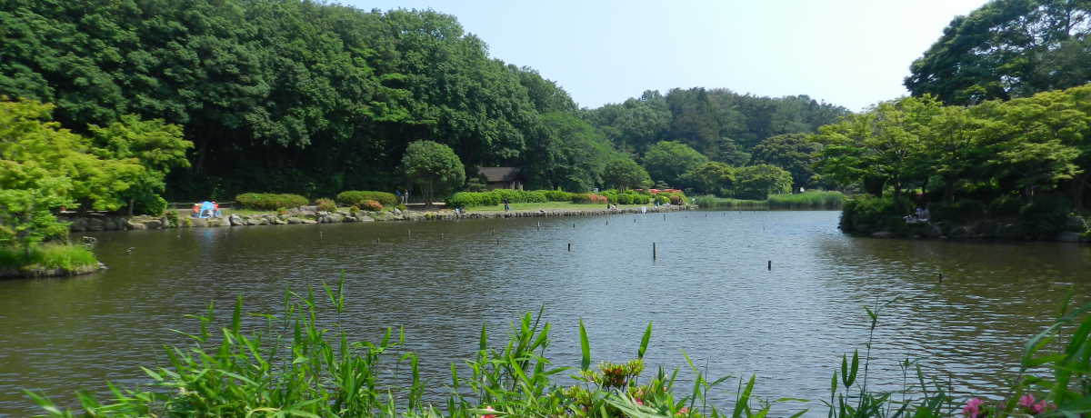 �~�j�����������鎩�R�����B�T���̓J���Z�~�̂��މ��l�E��r�����ցI