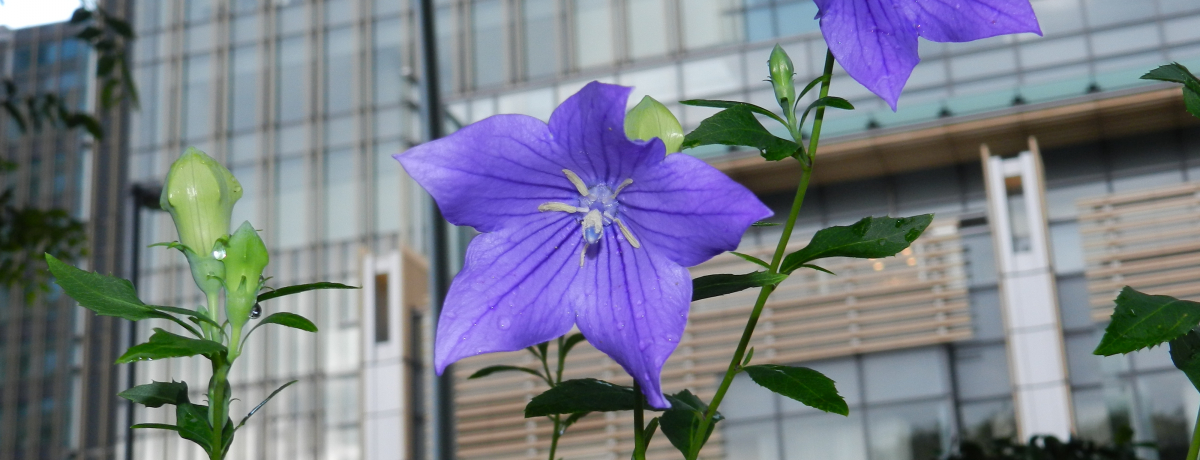 ~bh^ÊׁI Z{؃rX̘a뉀wwx