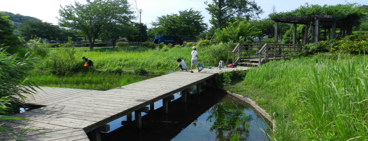 �L��ȓc��ڂƗׂ荇���_�ސ쌧����s�E���n��e�������ցI