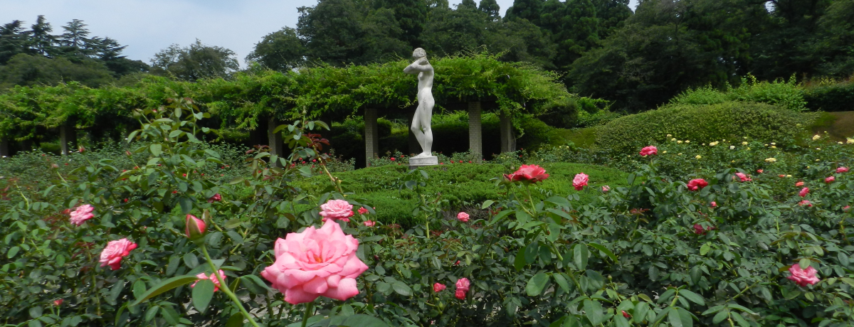 �o���Ɩ쑐�ɖ������������w�̉Ԃ̊y���u�_��A�������v�ցI