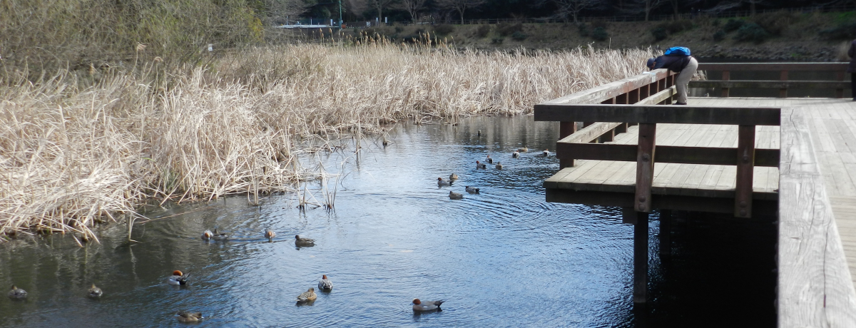 _ސu̐XEӂꂠ̐Xvœ~̎RUyI