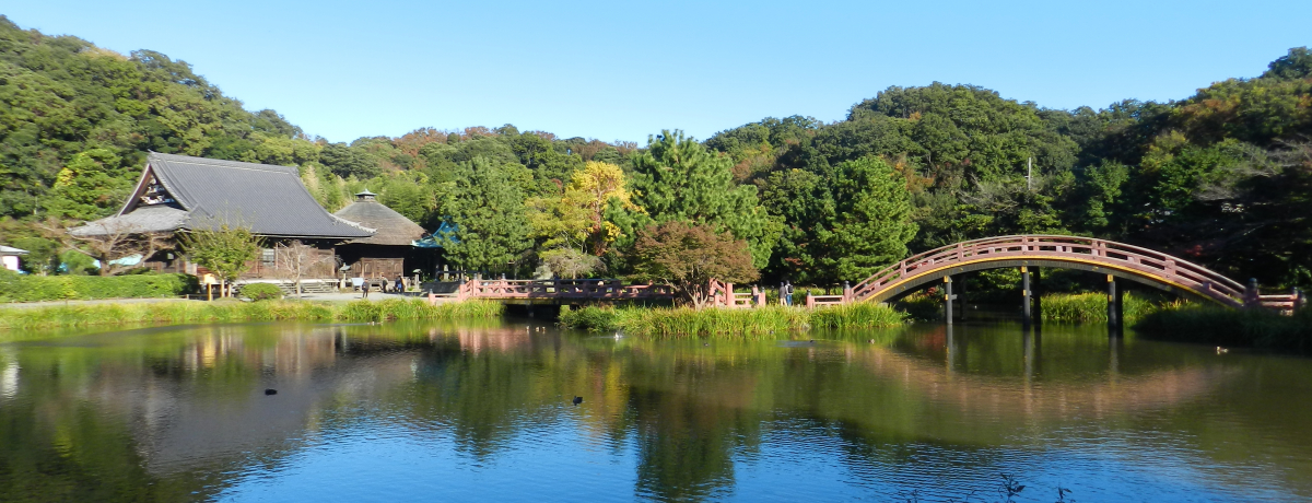 ̖ilsj`ČAjՂƐ̂Tv``