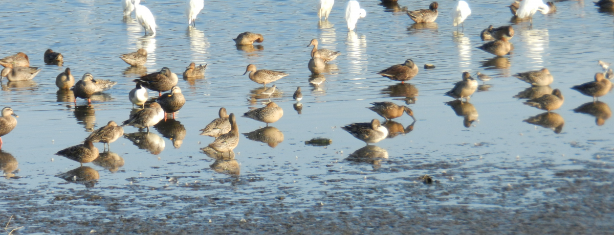 OɁAĔ򗈒nցiQnEXǏj