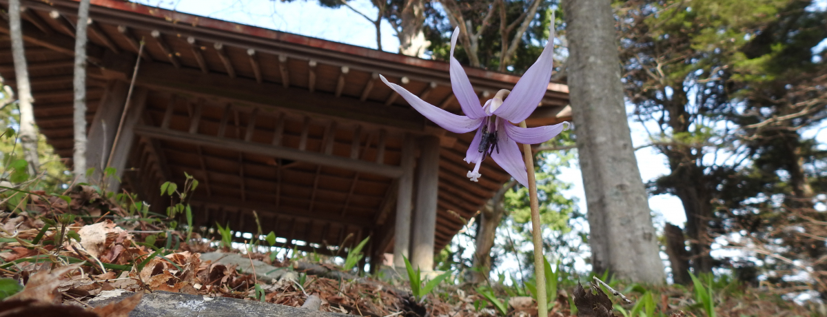 ��x�R�ŏt�̃n�C�L���O�B�J�^�N����t�̐������̂�T����