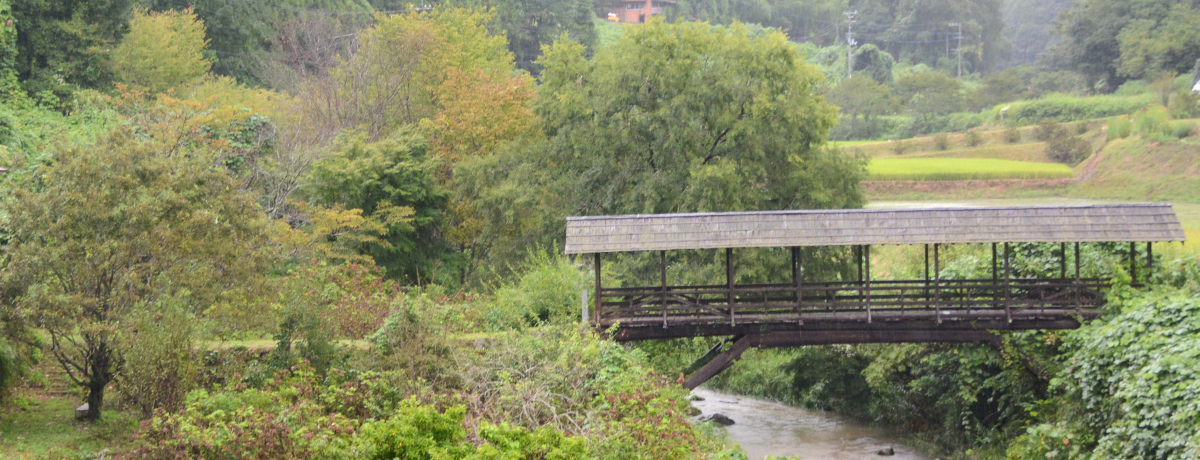 �����t�������m�X�^���W�b�N�I���Q�����q���̗��R���U��