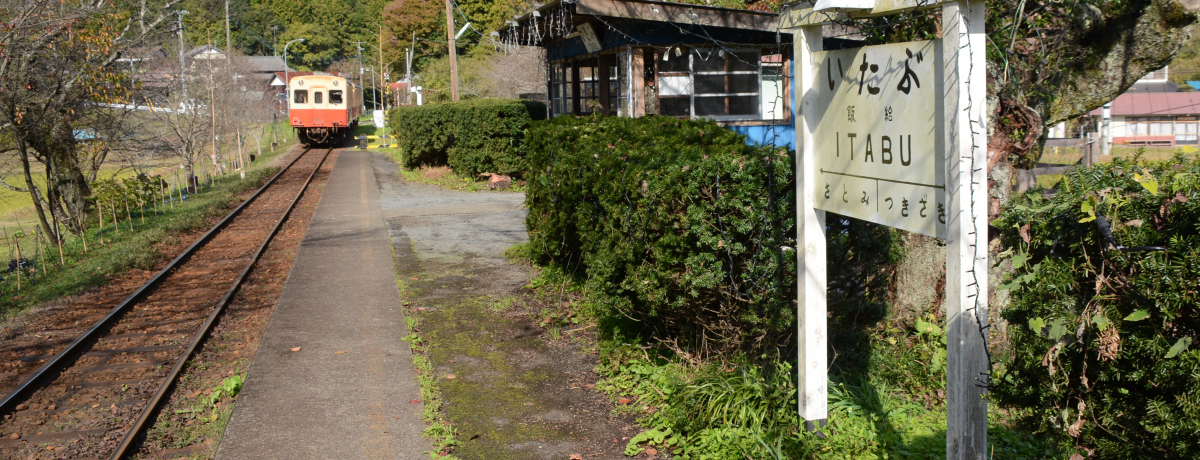 ���̏����S���̍ŏ��w!?��t���s���s�u�ы��w�v�ŗ��R���i