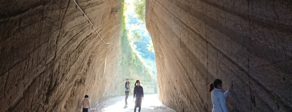 ꂪ[̔鋫glItxÎsučؒʂglv