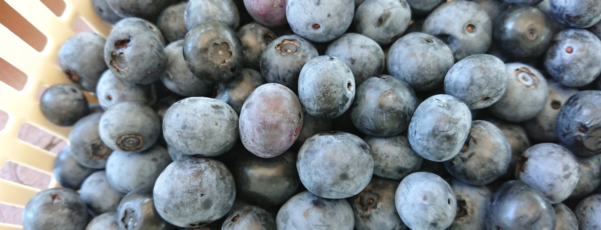 RŃu[x[E݁I؍XÎs̔_ûEv