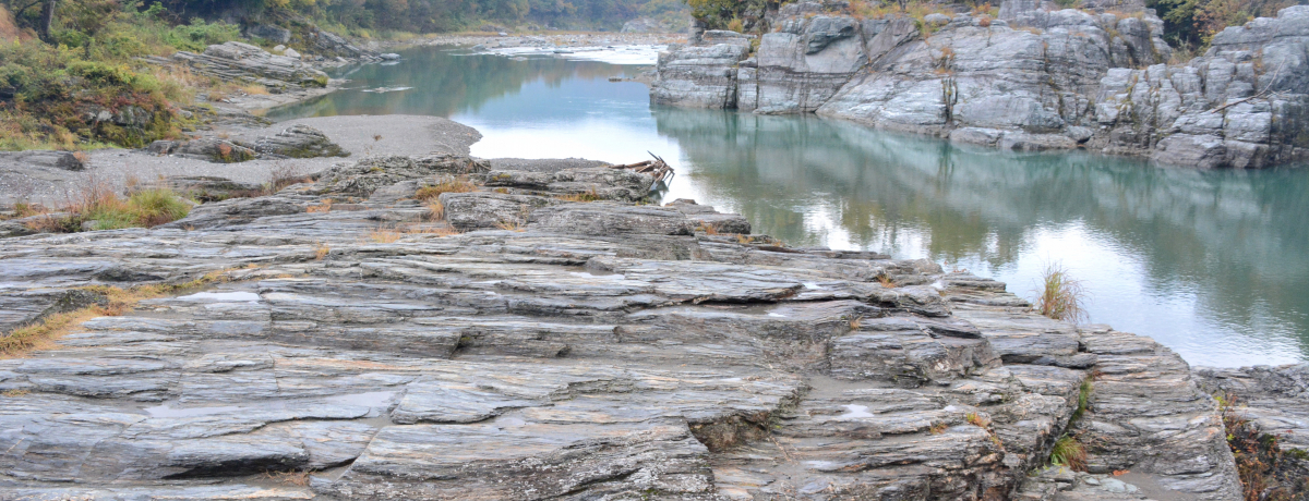 𒴂đÂ̎ցIʌWIp[NŒňۓ̊