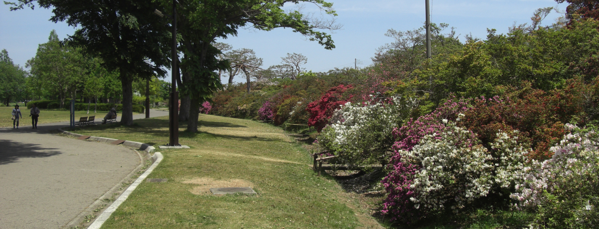 �L���Ȑ��Ǝ��R�̊X�E�ٗсI���R�ɕ�܂ꂽ�A�[�g�ɐZ��I�I