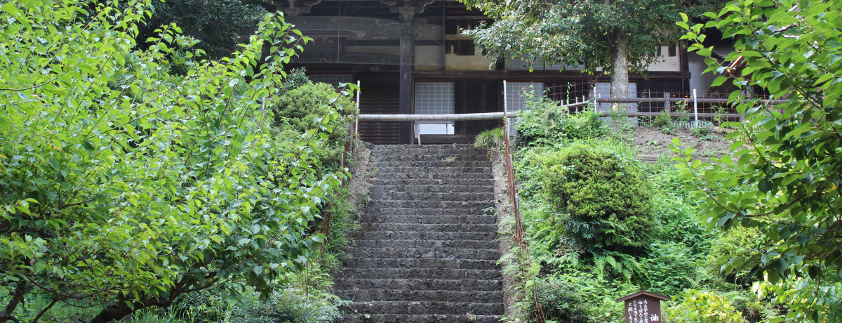 svc`̂p[X|bgIȖ؎suR咆v