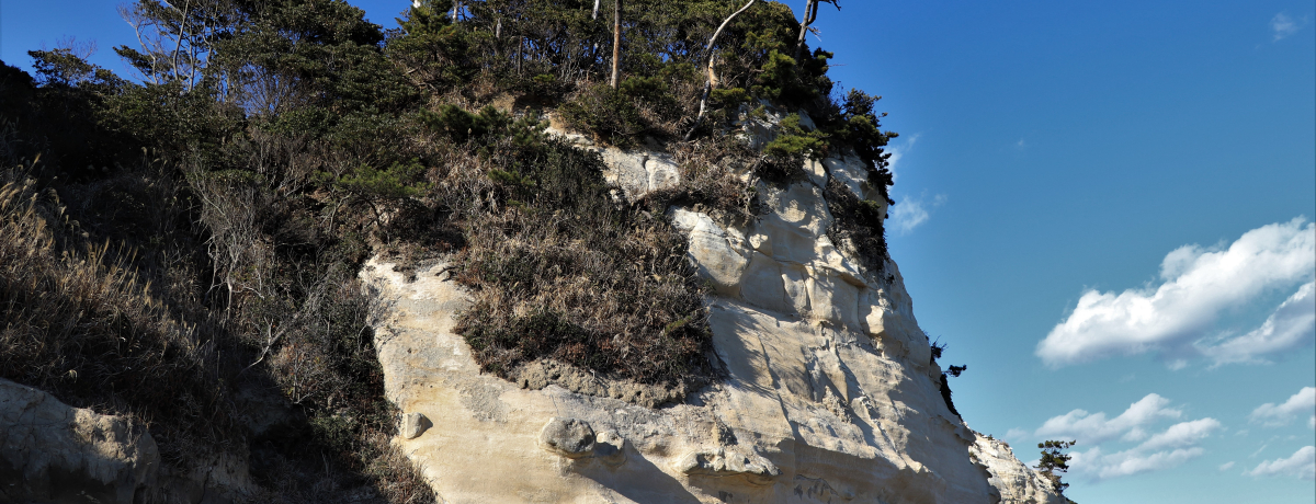 �����m�̍r�g���n�����f�R�̊C�݁I��錧�����s�E�k���s