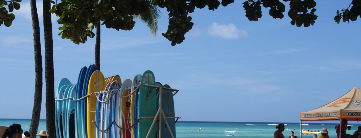 zm}\Iu[Xf[EH[NvŊnCI