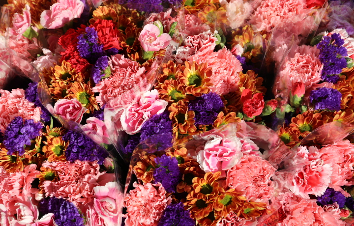 �Ԃ��ӂ�A�����̂�������킵���[�h�I���`�̒��́u���q�v��