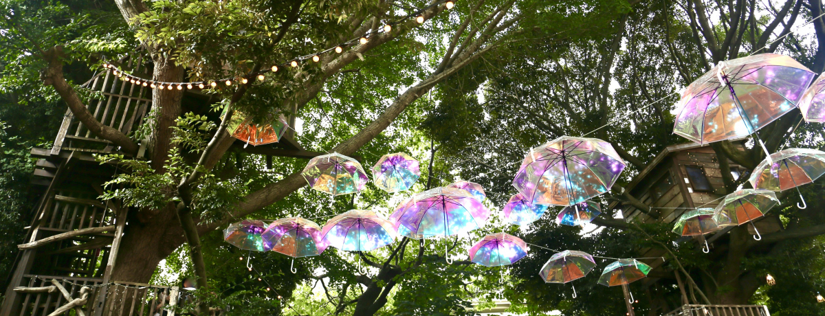 X̔閧nIc[nEXJtFEtu֐XRiv