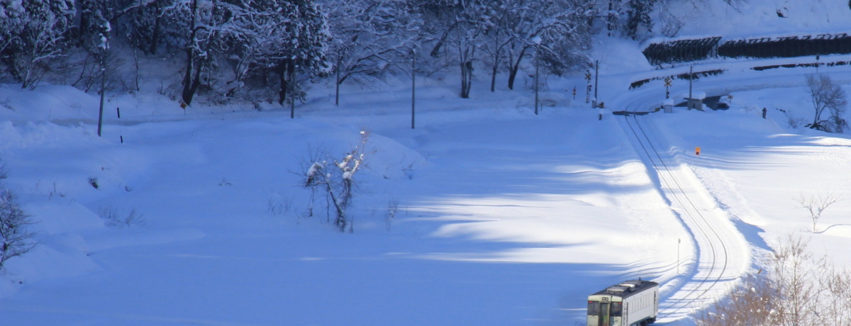 nтs[J@юRጩԂŐMZH̗