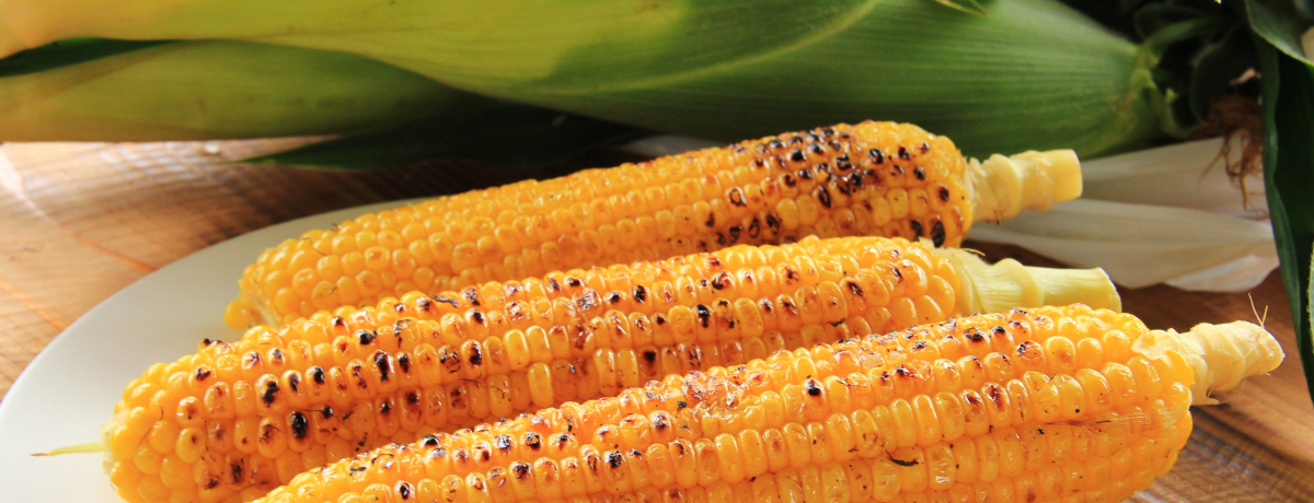 �V�N�Ŏ|���Ƃ����낱���𖞋i�I���쌧�M�Z���u���낱���X���v�ƉĂ̐����X�|�b�g��