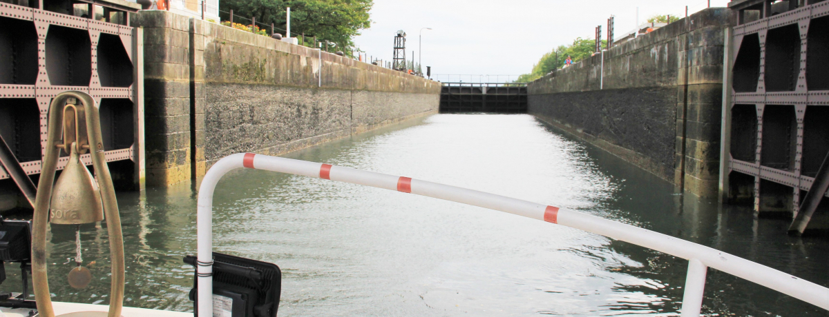 ʍ{ő勉IxRux^̓N[YvŐ̃Gx[^[̌