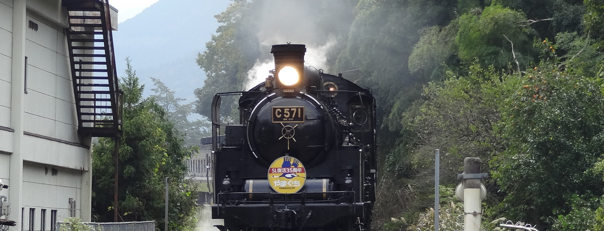 �R�A�̏����s�E�Øa��U��`�m���Ă��������A�O���Ȃ��|�C���g�I