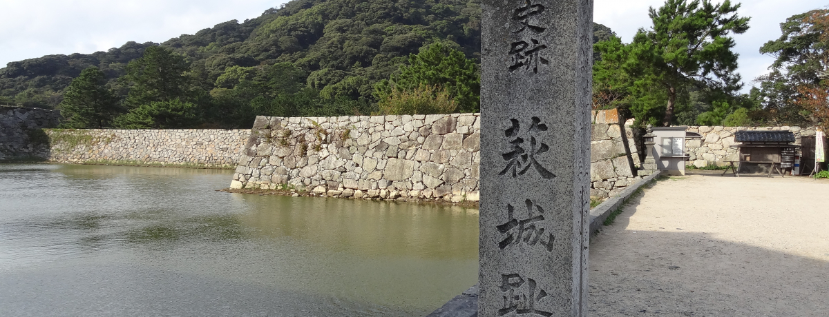 ��̓h���}�u�ԔR��v�̃��P�n�`�ї��P���Ӑg�̏�E����I