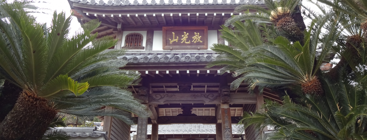 قӉԔR̓h}فu̖h{aBv珄h{̗