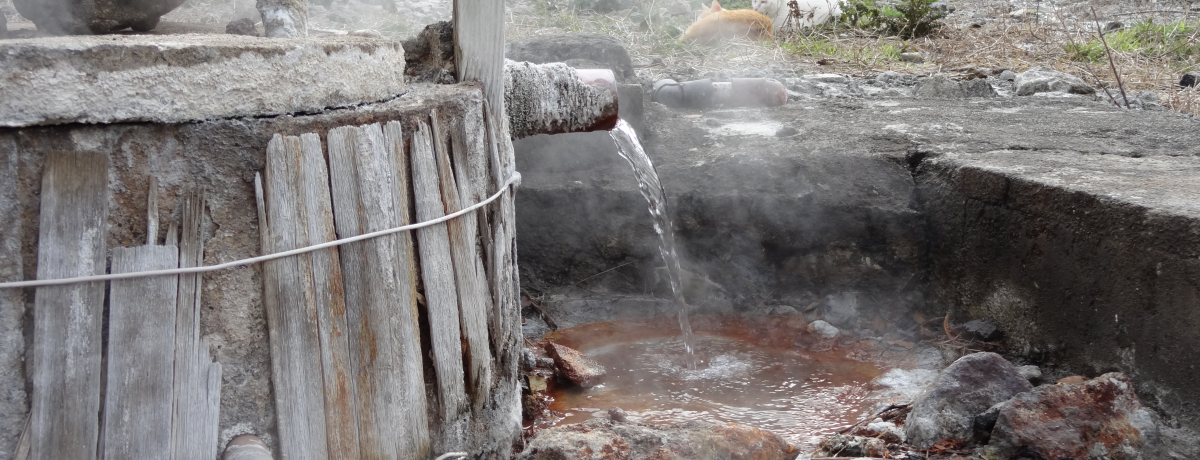 ʕ{̂PS։`Ȃ炻̖͔I