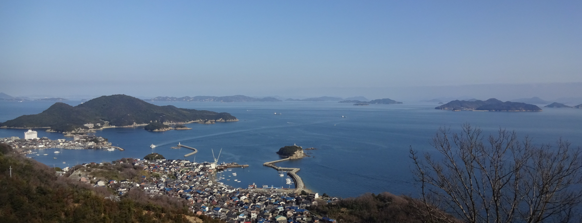 �R�������Ƃ͂܂��ɃR�R�̂��ƁI���R�s�O���[�����C���̐�i�I