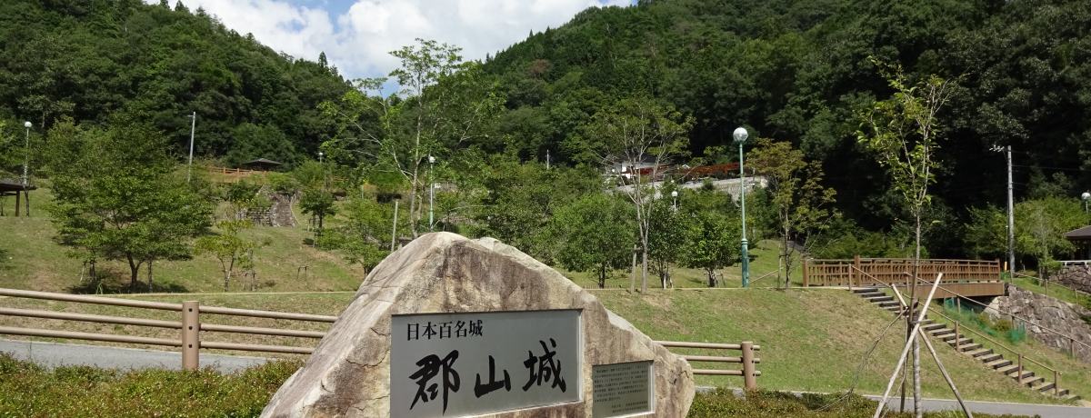 їǍ̋EL|csŌSRՂ̎UƕQ