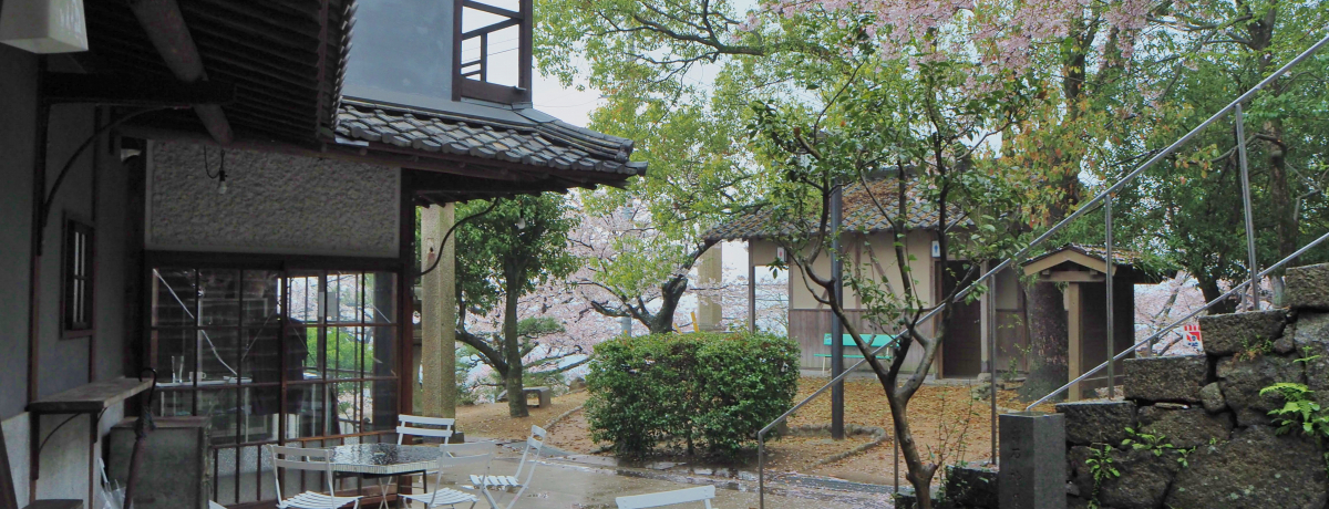 z100Ńgh̖́IQXgnEXu݂͂炵v