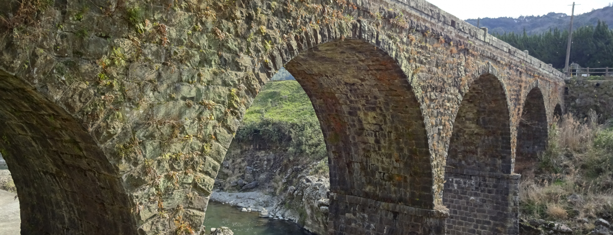 ΋ɃhLI啪Fs@`{̐΋̂܂