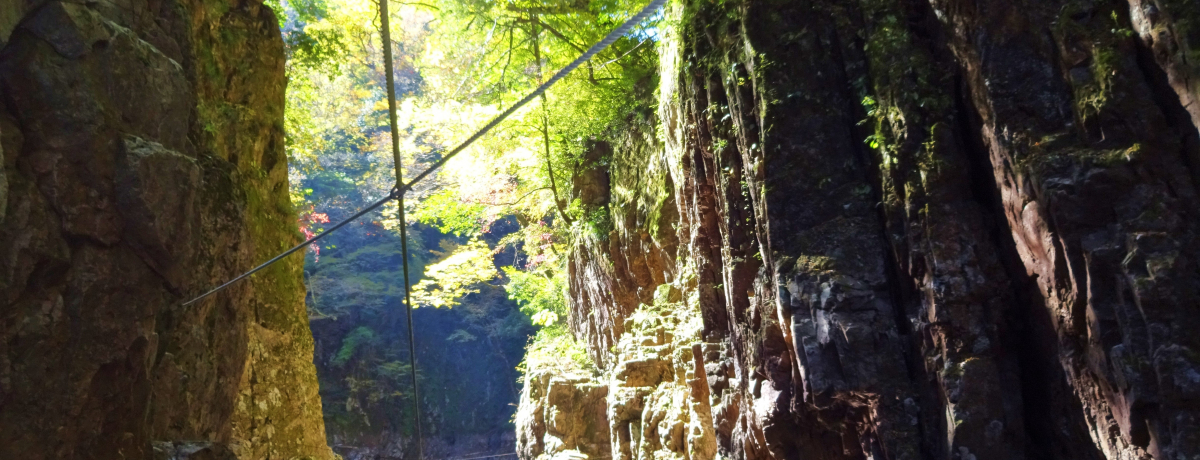 uOiv`ĽinǂHAkJA߂EE